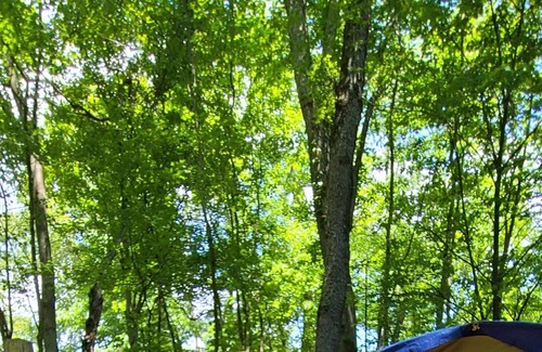 Scottdale Alquiler De RV | FOUR SEASONS LAUREL HIGHLANDS CAMPING