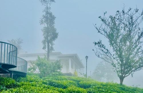Pirmed Casa | Four Winds Plantation Homestay Approved by Dept of Tourism Govt of Kerala