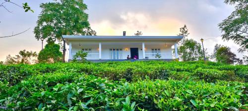 Pirmed Casa | Four Winds Plantation Homestay Approved by Dept of Tourism Govt of Kerala