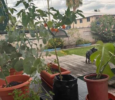 Bella Vista Casa | FourStoners Boutique BNB