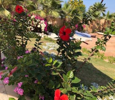 Al Ahyaa Apartamento | Fox House Resort Apartment
