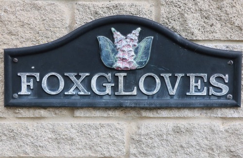 Castleton Cabaña | FOXGLOVES, romantic, with a garden in Castleton, Peak District