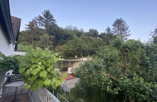 Kamp-Bornhofen Casa | FränZ Comfortable holiday residence