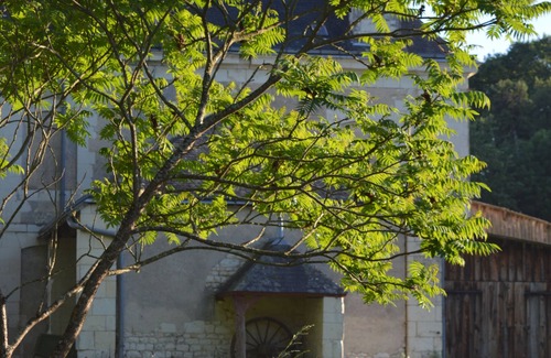 La Chapelle-Blanche-Saint-Martin Casa | Profitez de la Touraine Dans un Cadre Dexception