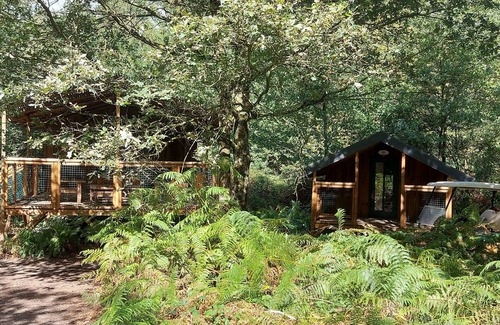 Saint-Pierre-des-Echaubrognes Cabina | Cap Town cabin in the forest