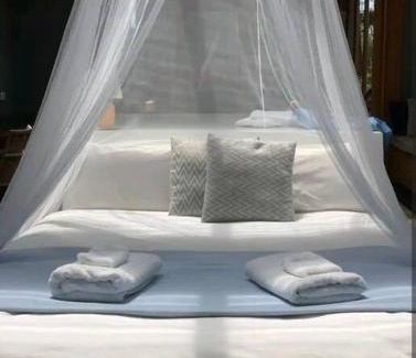 Adventure Bay Casa | Francis Lane Tiny Studio
