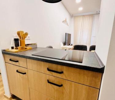 Piestany Apartamento | Franco Piešťany Apartments 1