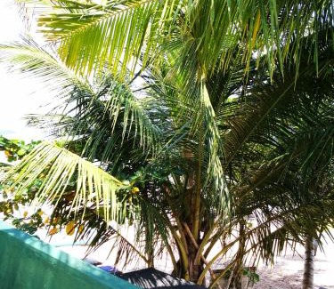 Tangalle Hotel | Frangipani Beach Villa