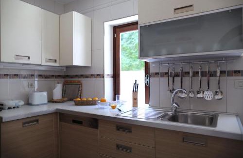 Babin Kuk Villa | Franica