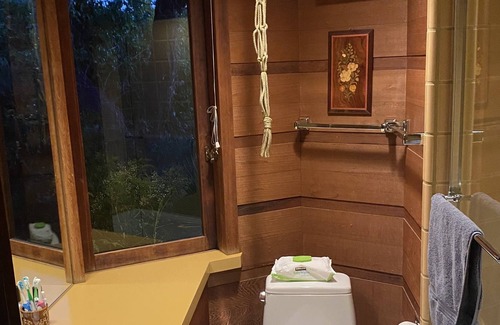 Modesto Casa | Frank Lloyd Wright Inspired Luxury Treetop Getaway