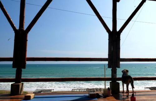 Coastal Region Hotel | Free Spirit Ecuador, Puerto Engabao