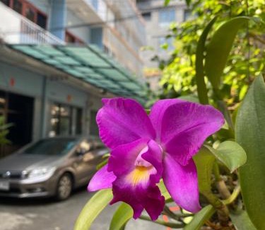 Somdet Chao Phraya Casa | Freedom8