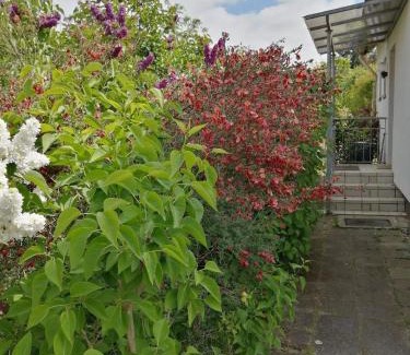 Adendorf Casa | Freistehendes Ferienhaus in Adendorf mit Terrasse, Grill und Garten