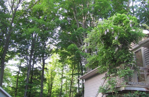Saugeen 29 Cabaña | Frenchman Bay Cottages - Loft