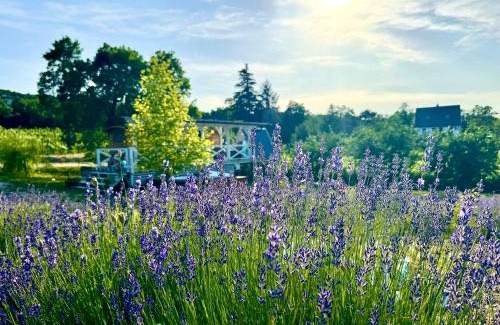 Kisapati Casa | Frida House át lake Balaton