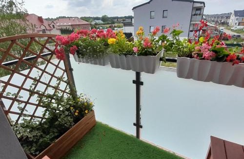 Ksiazenice Apartamento | Friends - Mieszkanie 53m2 - dwie kawalerki z łazienką