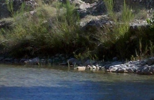 Rio Frio Casa | Río Frio, casa amueblada de lujo, paraíso para los observadores de aves