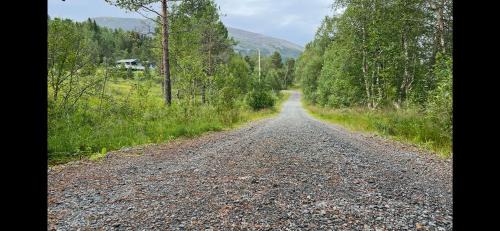 Molde Casa | Frittliggende hytte i flott turterreng