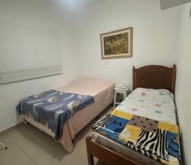 Sao Carlos Apartamento | FRODO-APTO MAGNÍFICO com Wifi , 2 dorm