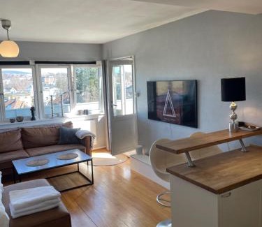 Majorstua Apartamento | Frogner Gården Penthouse Terrasse
