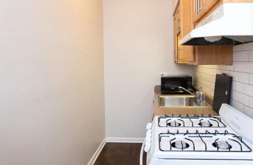 Hyde Park Apartamento | FRONTDESK Classic 1 BR Apt near Jackson Park