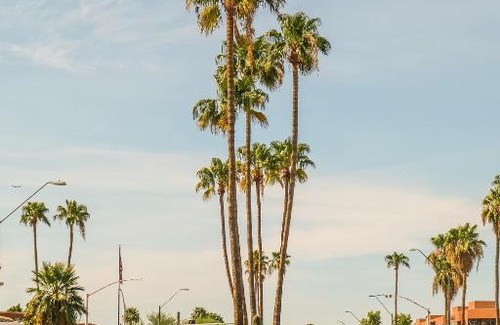 Scottsdale Osborn Plaza Apartamento | FRONTDESK Old Town Apts Scottsdale