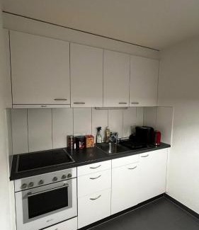 Fribourg Apartamento | Frya Fribourg Studio