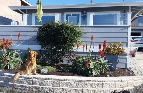 Cayucos Casa | ¡VISTA COMPLETA AL OCÉANO! Remodelado! 3 minutos a la playa, WiFi, perros bienvenidos previa aprobación.