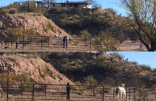 Wickenburg Alquiler De RV | Full RV Hookup with Two Covered Horse Stalls (BYO fully contained RV, SP1)