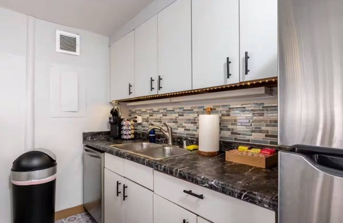 Printers Row Condominio | Fun Downtown Penthouse #3 | Vintage +balcony&gym