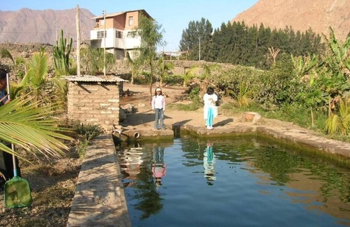Quives Cabina | Fundo Huabayor , turismo vivencial en el campo