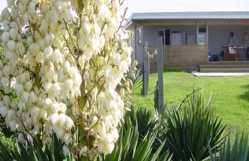 Otaki Beach Casa | Funky 50's Beach House