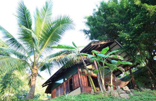 Playa Santa Teresa Hotel | Funky Monkey Lodge