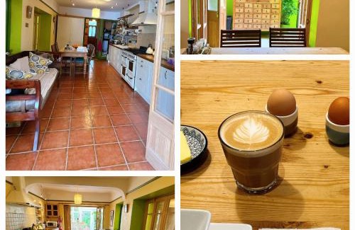 Roath Cama Y Desayuno | Funky Urban Jungle
