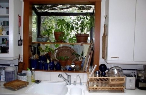 Berkeley Casa | Casa Familiar Amueblada, Verano 2019, Perro OK
