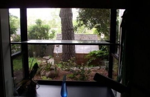 Berkeley Casa | Casa Familiar Amueblada, Verano 2019, Perro OK