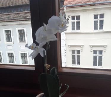 Altstadt Apartamento | FW 50 - Mitten in der historischen Altstadt mit Balkon