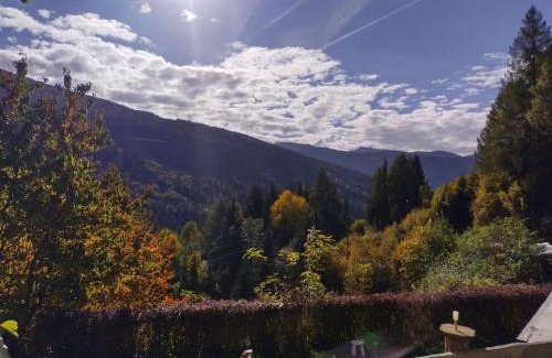 Kremsbrucke Apartamento | FW Schnuckel in 300a Altem Bergbauernhaus 1110m