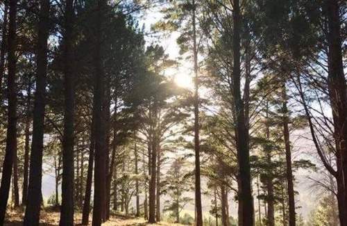Helderberg Rural Casa | Fynbos Log Cabin, Game Reserve and Wildlife Estate