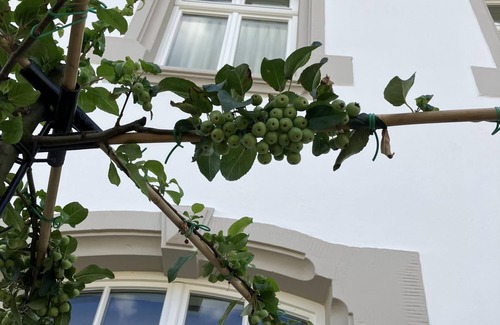 Kanzem Apartamento | Gästehaus Cantzheim I Ferienwohnung Ritterpfad - Cantzheim.dorf