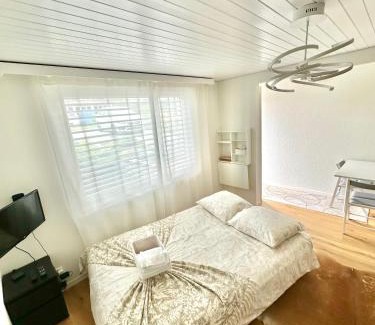 Schonenwerd Apartamento | Gästehaus MaryVitty, zentrale zwischen Aarau und Olten, gut verbunden