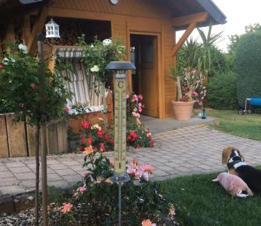Lohndorf Apartamento | Gästehaus Nelles