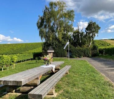 Udenheim Casa | Gästehaus Rebstock im Weingut Schrauth-Becker