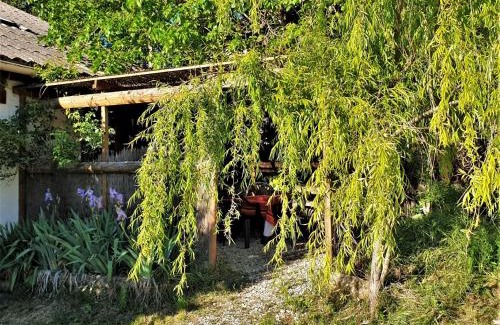 Lurs Apartamento | Gîte 1 Ferme Equestre Les Coccinelles