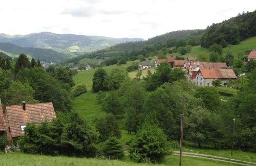 Breitenbach-Haut-Rhin Casa | Gîte au calme avec 2 chambres, terrasse, jardin, BBQ et parking inclus à Breitenbach-Haut-Rhin - FR-1-744-42