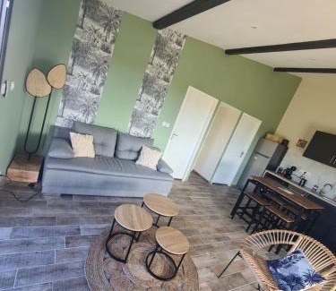 Pujols-sur-Ciron Casa | Gîte au coeur des vignes, jacuzzi et sauna privés