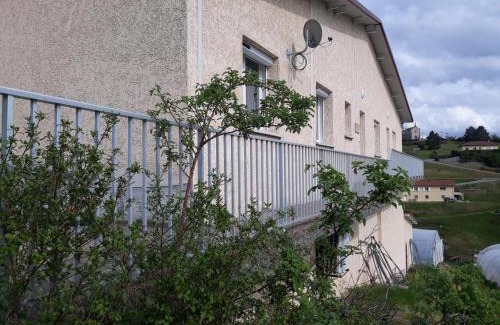 Saint-Romain-en-Jarez Casa | Gîte avec jardin, jeux pour enfants et terrain de boules. Idéal pour rando et VTT! - FR-1-496-286