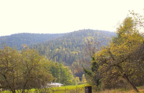 Remiremont Apartamento | Gîte charmant à Remiremont : nature, randonnées et confort pour 6 personnes et animaux bienvenus - FR-1-589-411
