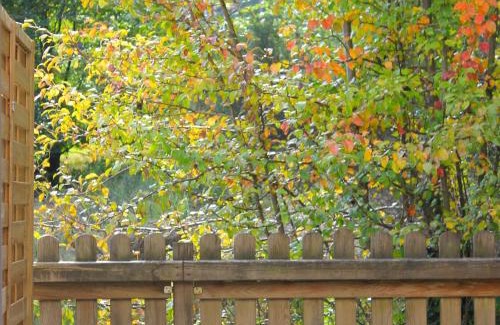 Remiremont Apartamento | Gîte charmant à Remiremont : nature, randonnées et confort pour 6 personnes et animaux bienvenus - FR-1-589-411