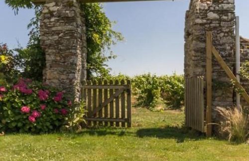 Chateau-Thebaud Casa | Gîte confortable au cœur des vignes avec terrasse, vélos, WiFi et équipements bébé à 17 km de Nantes - FR-1-306-808